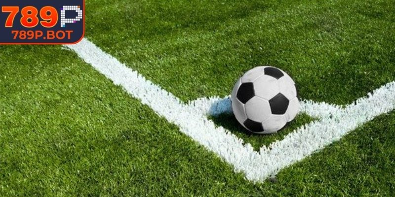 Các hình thức cược phổ biến