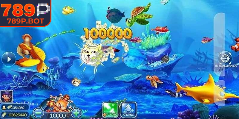 Phòng cược dành dành cho newbie